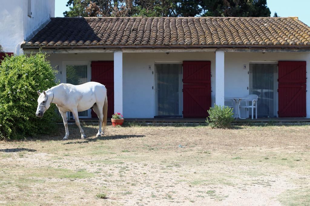 Mas des cypres Apartamento Saintes-Maries-de-la-Mer Exterior foto