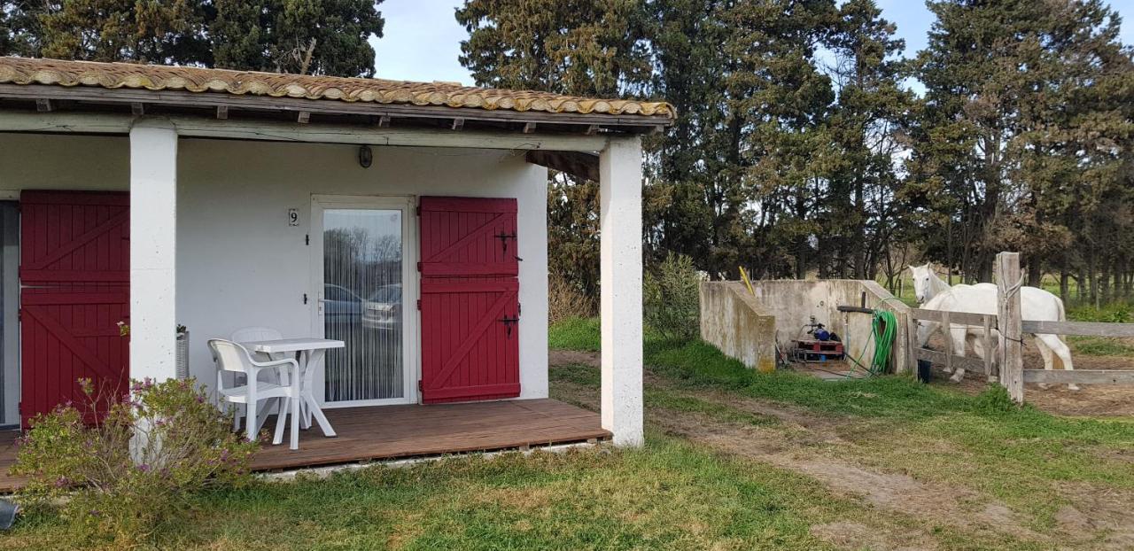 Mas des cypres Apartamento Saintes-Maries-de-la-Mer Exterior foto