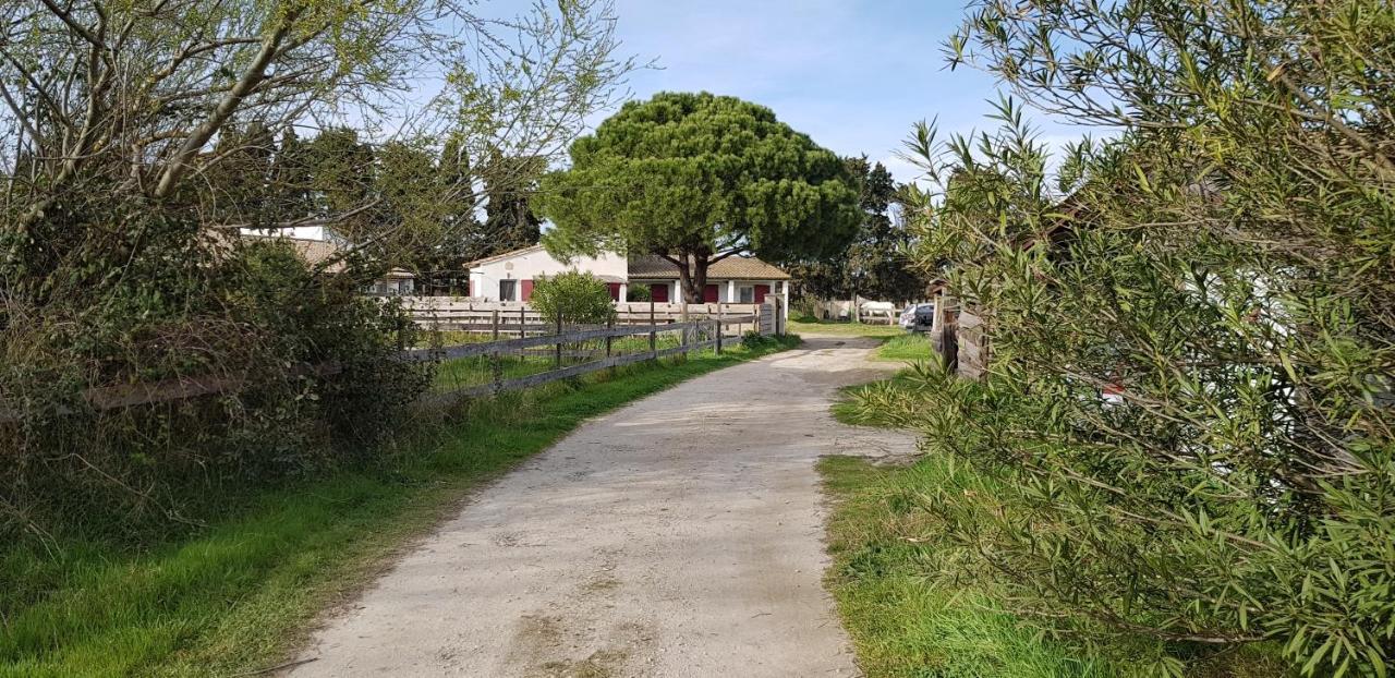 Mas des cypres Apartamento Saintes-Maries-de-la-Mer Exterior foto